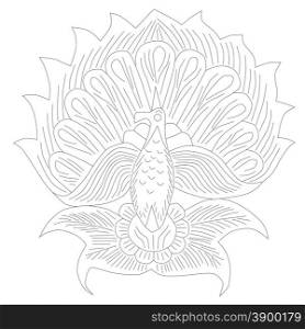 Vector illustration peacock isolated on white background