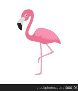 Vector illustration pink flamingo isolated on white background