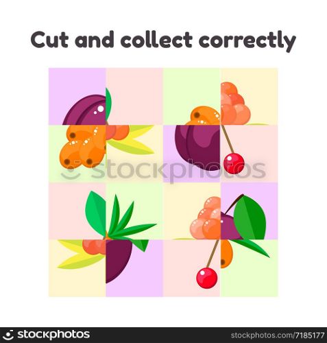 vector illustration. puzzle game for preschool and school age children. cut and collect correctly. berries, cloudberry, plum, sea buckthorn, cherry