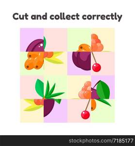 vector illustration. puzzle game for preschool and school age children. cut and collect correctly. berries, cloudberry, plum, sea buckthorn, cherry