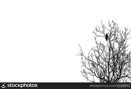 vector illustration ravens on branch on white background