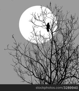 vector illustration ravens sitting on tree against sun