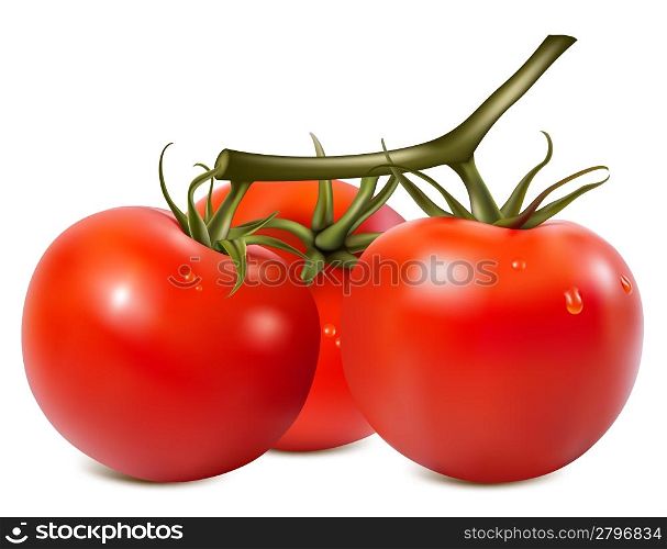 Vector illustration. Ripe tomatoes
