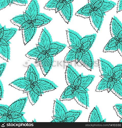 Vector illustration. Seamless pattern with leaves mint. Hand drawn black line plant on white background with green.. Seamless pattern with leaves mint. Hand drawn black line plant on white background with green.