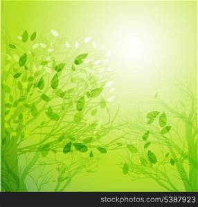 Vector illustration Season tree with green leaves
