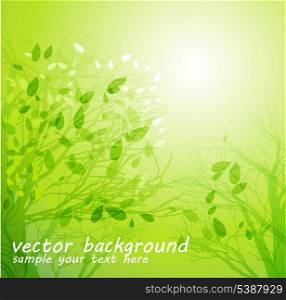 Vector illustration Season tree with green leaves