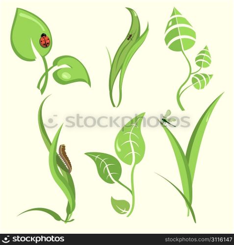 Vector illustration set of design plant leaves with funny insects
