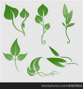 Vector illustration set of design plants silhouettes