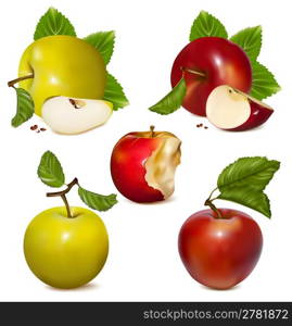 Vector illustration. Set of red and green apples.