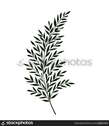 Vector illustration Silhouette leaves of fern. Green leaf. silhouette leaves of fern
