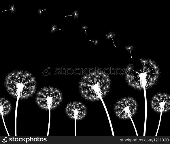 vector illustration silhouette with flying dandelion buds . silhouette with flying dandelion buds