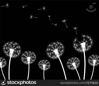 vector illustration silhouette with flying dandelion buds . silhouette with flying dandelion buds