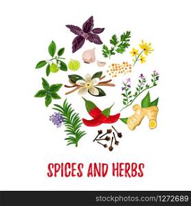 Vector illustration Spices and herbs. Circle border with plants. Abstract herbs design. Vector illustration Spices and herbs Circle design