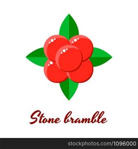 vector illustration, stone bramble, forest red berries with green leaves. vector illustration, stone bramble, forest red berries