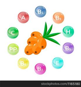 vector illustration. The orange sea buckthorn berry. Infographics. Vitamins. vector illustration. The orange sea buckthorn berry. Infographics.