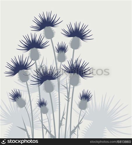 Vector illustration thistles, background flowers in the meadow