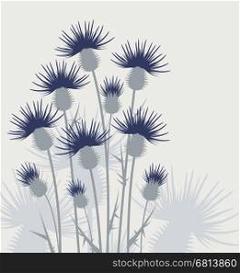 Vector illustration thistles, background flowers in the meadow