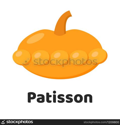 Vector illustration. Vegetable. Patisson on a white background