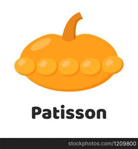 Vector illustration. Vegetable. Patisson on a white background