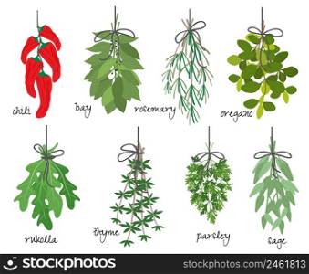 Vector illustration with eight different bunches of medicinal aromatic herbs with fresh red cayenne chilli peppers bay rosemary oregano rocket thyme parsley and sage on white with names