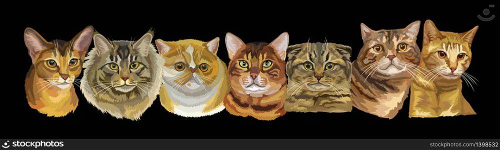 Vector illustration with isolated different cats breeds portraits on black background. Cats vector retro horizontal illustration in realistic style. Image for design and cards. Stock illustration