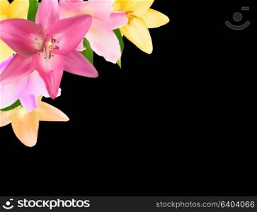 Vector Illustration with Lily Flowers Isolated on Black Background EPS10. Vector Illustration with Lily Flowers Isolated on Black Backgrou