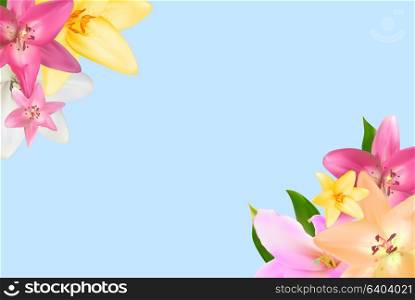 Vector Illustration with Lily Flowers Isolated on White Background EPS10. Vector Illustration with Lily Flowers Isolated on White Backgro