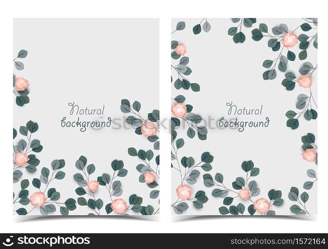 Vector illustration with roses and leaves. Romantic background with branches for invitations. Set of greeting cards. Romantic background with roses and leaves