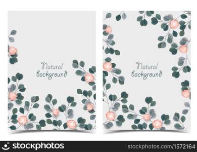 Vector illustration with roses and leaves. Romantic background with branches for invitations. Set of greeting cards. Romantic background with roses and leaves