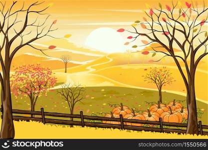 Vector illustrationn of panorama autumn landscape in english countryside with forest trees and leaves falling,Panoraic of farm field, pumkin under the tree in fall season with yellow foliage.