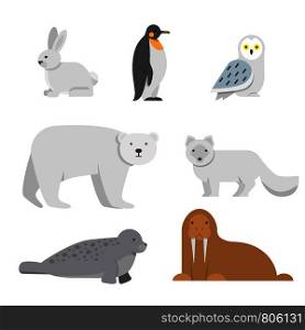 Vector illustrations of arctic snow animals. Arctic bear and penguin, north walrus and owl. Vector illustrations of arctic snow animals