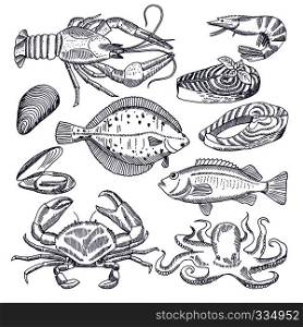 Vector illustrations of sea food for restaurant gourmet kitchen. Oysters, lobsters and fishes. Pictures for design menu seafood, salmon and crab, mussel and fish. Vector illustrations of sea food for restaurant gourmet kitchen. Oysters, lobsters and fishes. Pictures for design menu