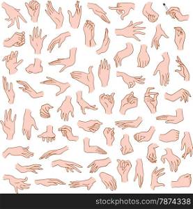 Vector illustrations pack of woman hands in various gestures.&#xA;