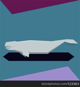 Vector imafe of the Flat design Beluga whale. Flat design Beluga whale