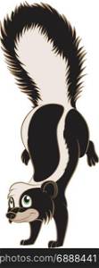 Vector image of a Cartoon smiling Skunk