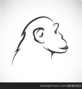 Vector image of a chimpanzee on white background