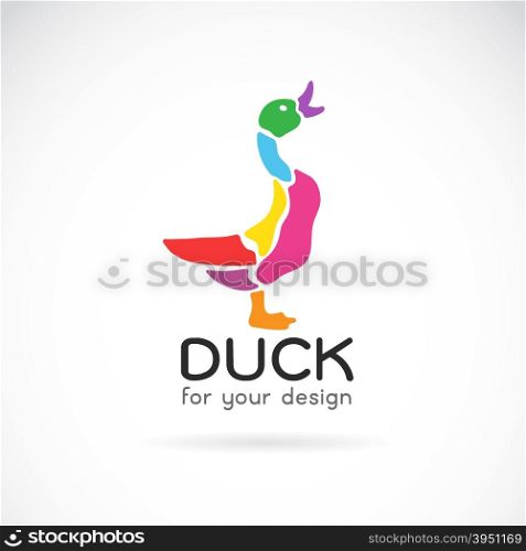 Vector image of a duck design on white background