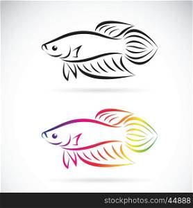 Vector image of a fighting fish design on a white background, Animal Logo. Pet
