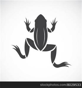 Vector image of a frog design on white background