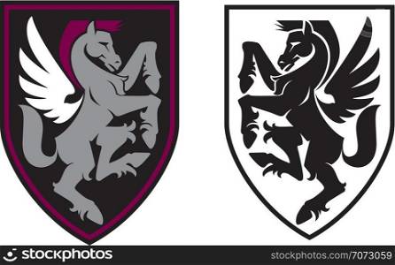 Vector image of a heraldic shield with a heraldic horse with wings on a white background. Coat of arms, heraldry, emblem, symbol.