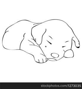 vector image of a little puppy in outlines