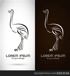 Vector image of a ostrich design on white background and brown background, Logo, Symbol