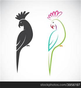 Vector image of a parrot design on white background.
