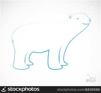 Vector image of an bear on white background