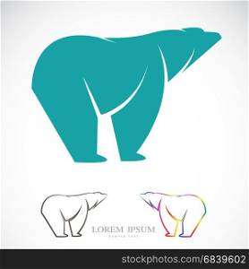 Vector image of an bear on white background