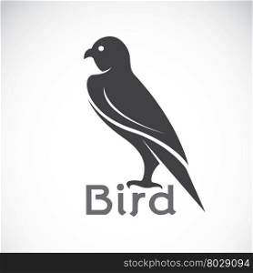 Vector image of an bird design on white background, Bird logo, Eagle design