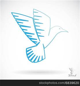 Vector image of an bird on white background
