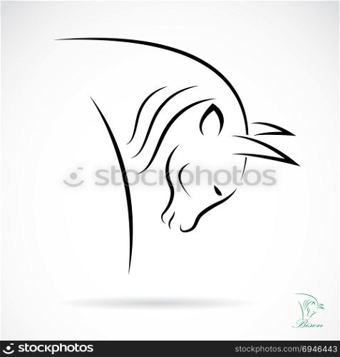 Vector image of an bison on white background