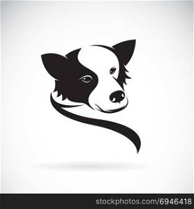 Vector image of an border collie dog on white background