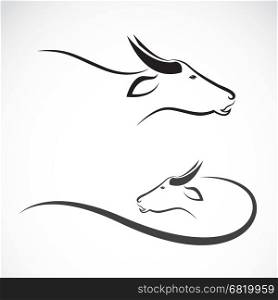 Vector image of an buffalo on white background.